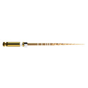 ProTaper GOLD: S2 25mm (6)