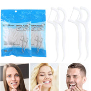 Dental Flossing Picks - 1