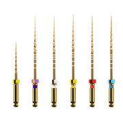 ProTaper GOLD: Assortment 31mm (6)