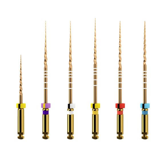 ProTaper GOLD: Assortment 31mm (6)