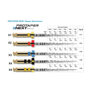 ProTaper Next: X1 - 21mm (6)