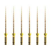 ProTaper GOLD: F1 25mm (6)