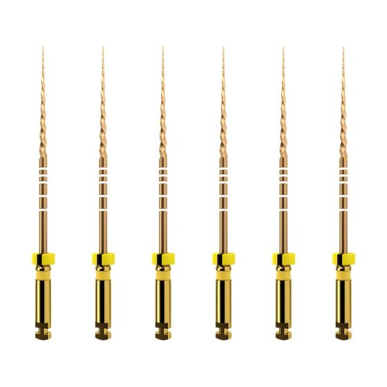 ProTaper GOLD: F1 25mm (6)