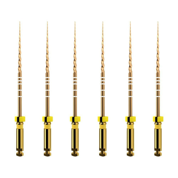 ProTaper GOLD: F1 31mm (6)