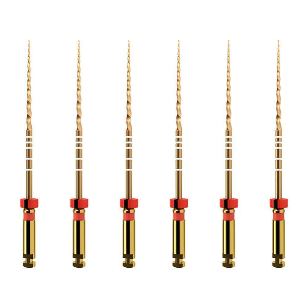 ProTaper GOLD: F2 21mm (6)