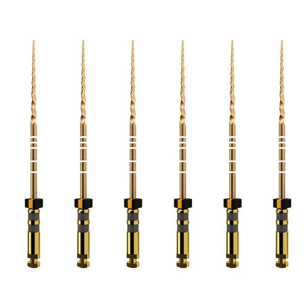 ProTaper GOLD: F4 21mm (6)