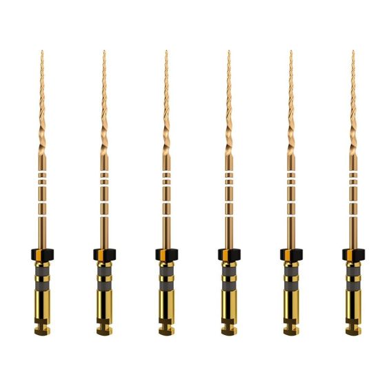 ProTaper GOLD: F4 31mm (6)