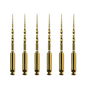 ProTaper Ultimate: 19mm - SX (6)