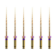 ProTaper GOLD: S1 25mm (6)