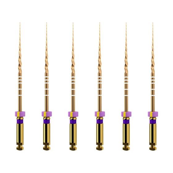 ProTaper GOLD: S1 25mm (6)