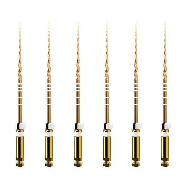 ProTaper GOLD: S2 25mm (6)