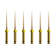 ProTaper GOLD: SX 19mm (6)